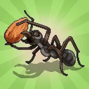  Pocket Ants:   ( )  