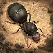  The Ants: Underground Kingdom ( )  